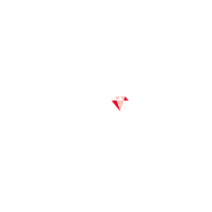 ExpressWins 500x500_white